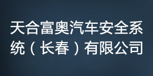 澶╁悎瀵屽ゥ姹借濺瀹夊叏緋葷粺錛堥暱鏄ワ級(jí)鏈夐檺鍏徃